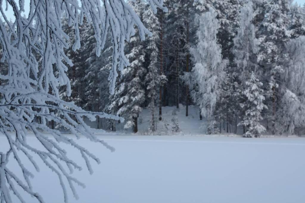 Cozy Holiday Home In Savonranta ซาวอนลินนา ภายนอก รูปภาพ